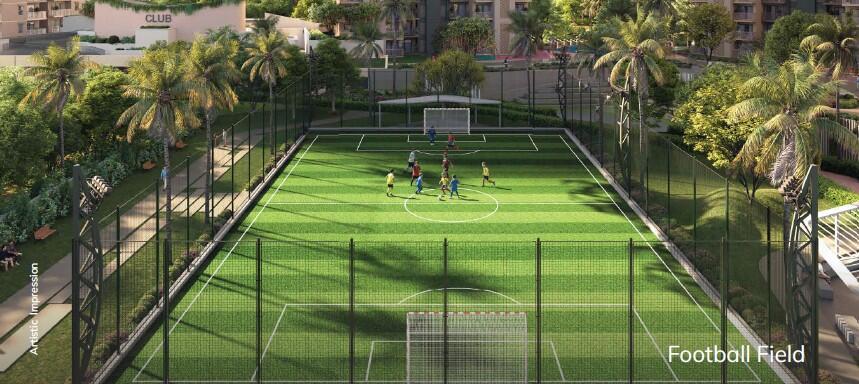 cu70djr_1764831223_681494707_optOrig