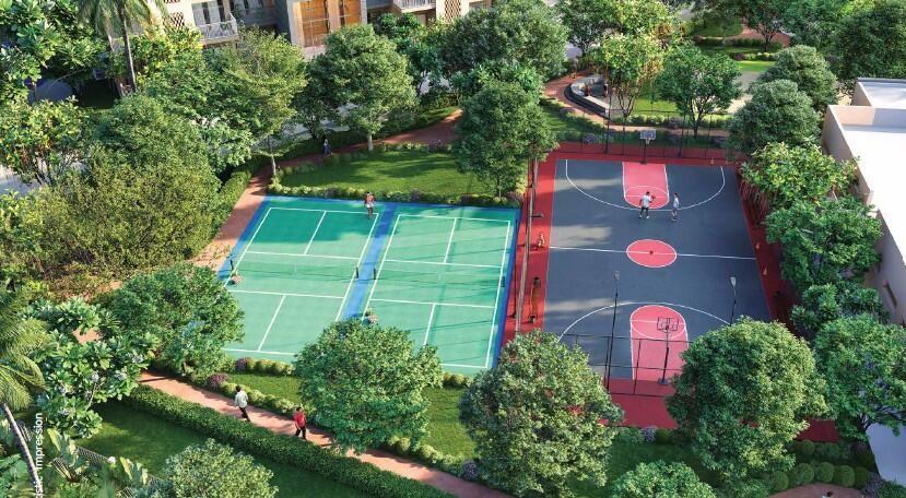 zrraeoh_1765780344_686146627_optOrig